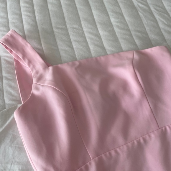 Revolve Pink Dress - Picture 5 of 5